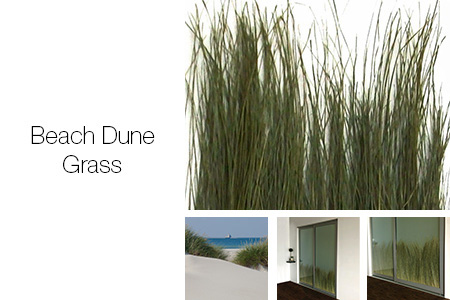 Beach Dune Grass Trapped Series
