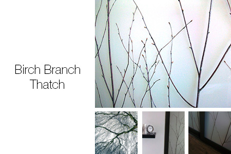 Birch Branch Thatch Trapped Series